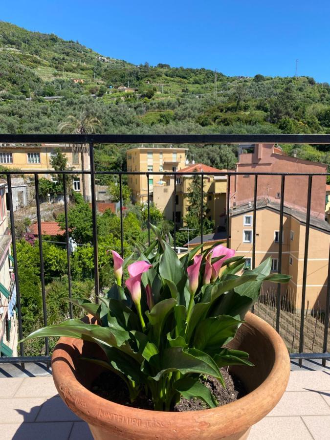 Apartmán La Terrazza Di Monterosso Monterosso al Mare Exteriér fotografie