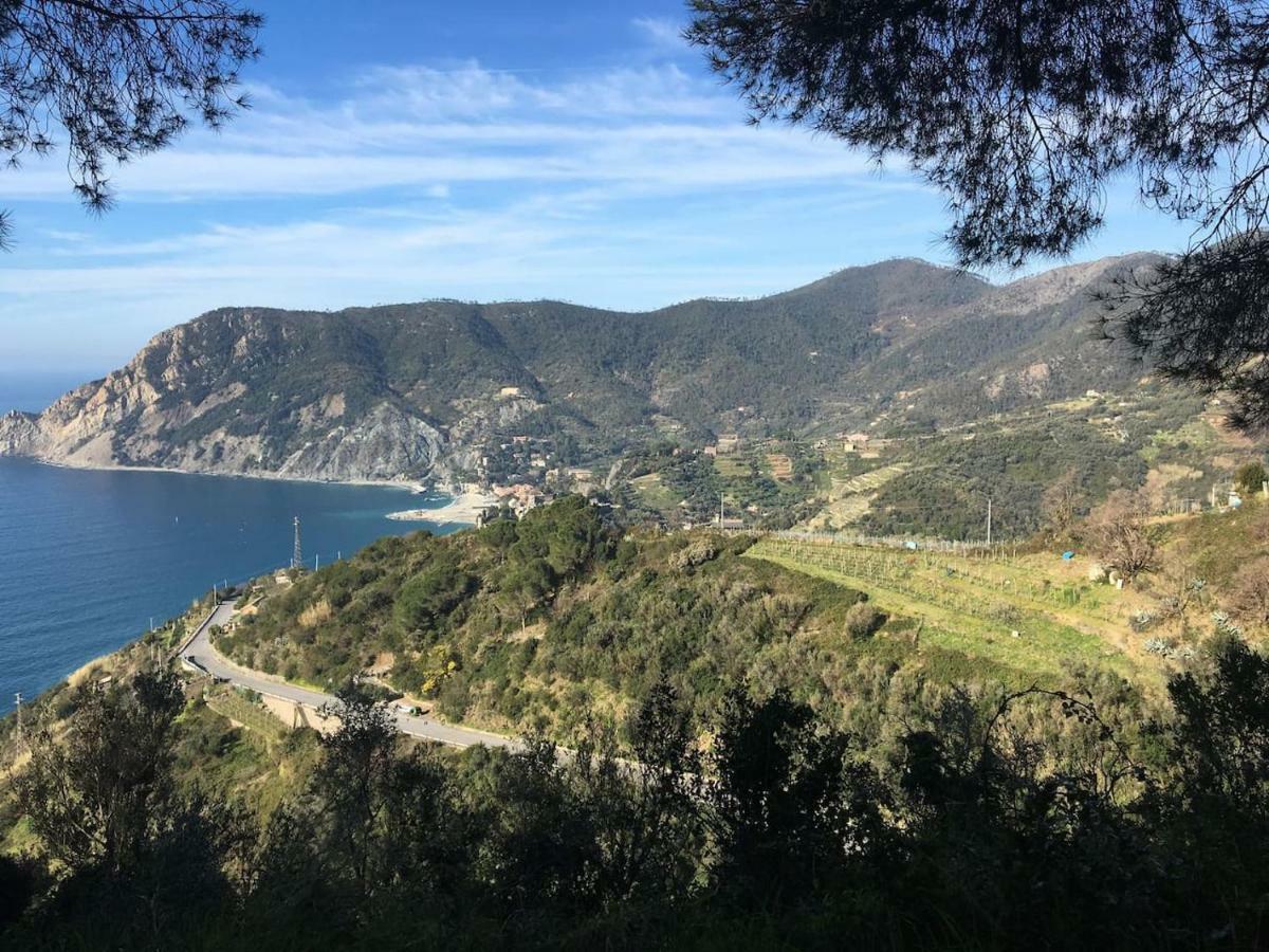 Apartmán La Terrazza Di Monterosso Monterosso al Mare Exteriér fotografie