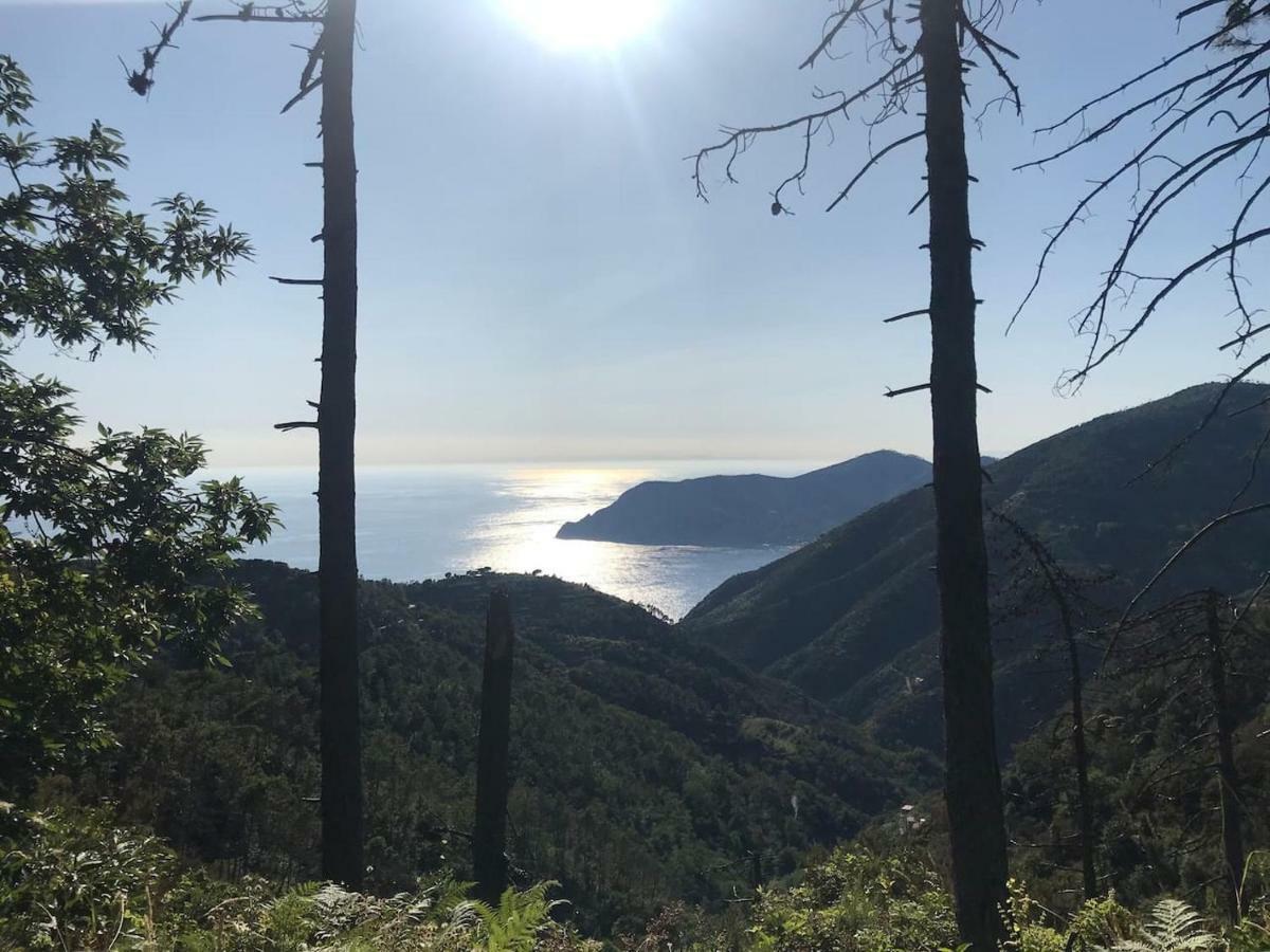 Apartmán La Terrazza Di Monterosso Monterosso al Mare Exteriér fotografie
