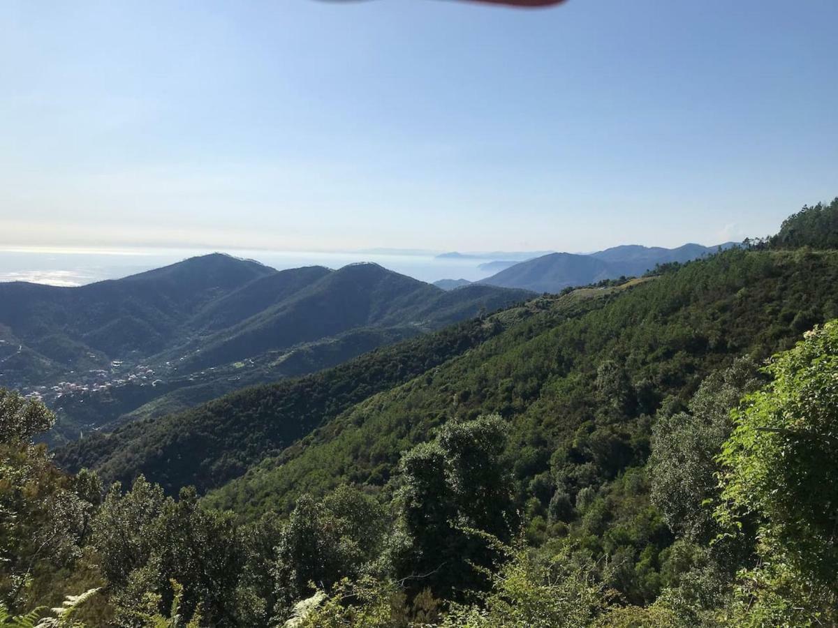 Apartmán La Terrazza Di Monterosso Monterosso al Mare Exteriér fotografie
